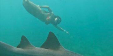 Após Ataque De Tubarão, Tayane Dalazen Retorna Ao Mar Em Noronha E Transforma Trauma Em Superação